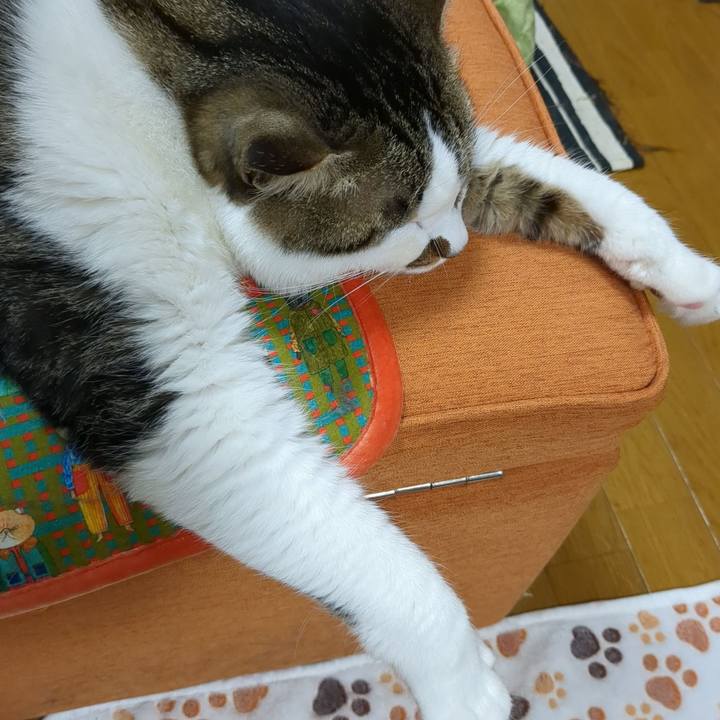 3401182b 1365 445b 956c 3ddb2793bbd5 1685012771084