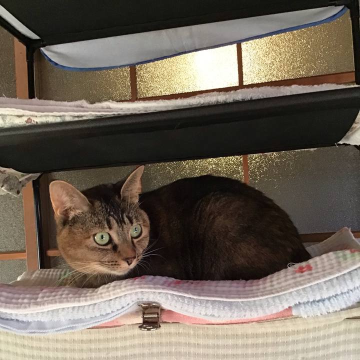 340142c4 473b 4844 aae7 1d69cd40da61 1635579939402