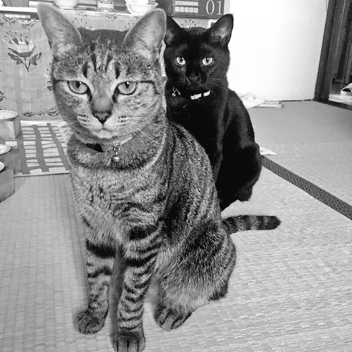 340165a4 423f 464d bb84 f3c308a7fb0e 1533125281867