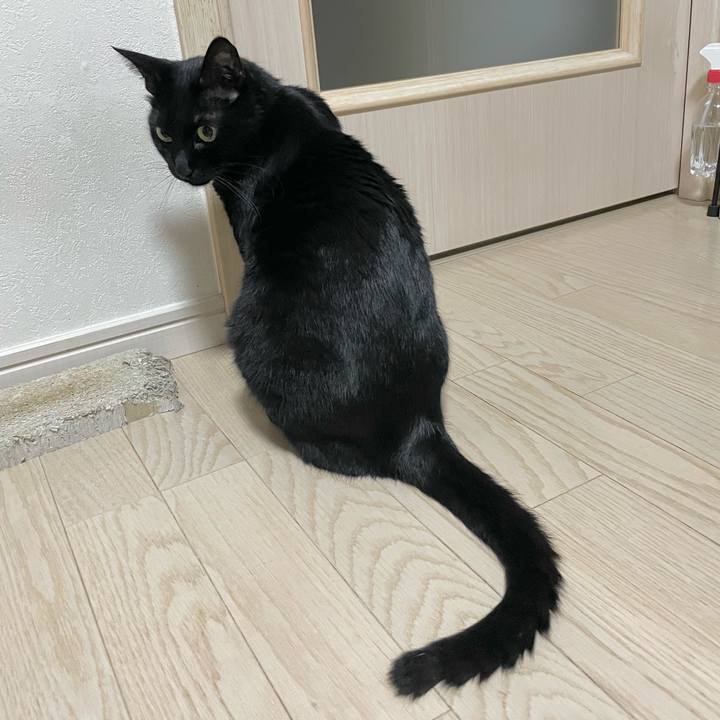 34019edc e316 4bfe b1ad 649eb5e22a3e 1667996662152