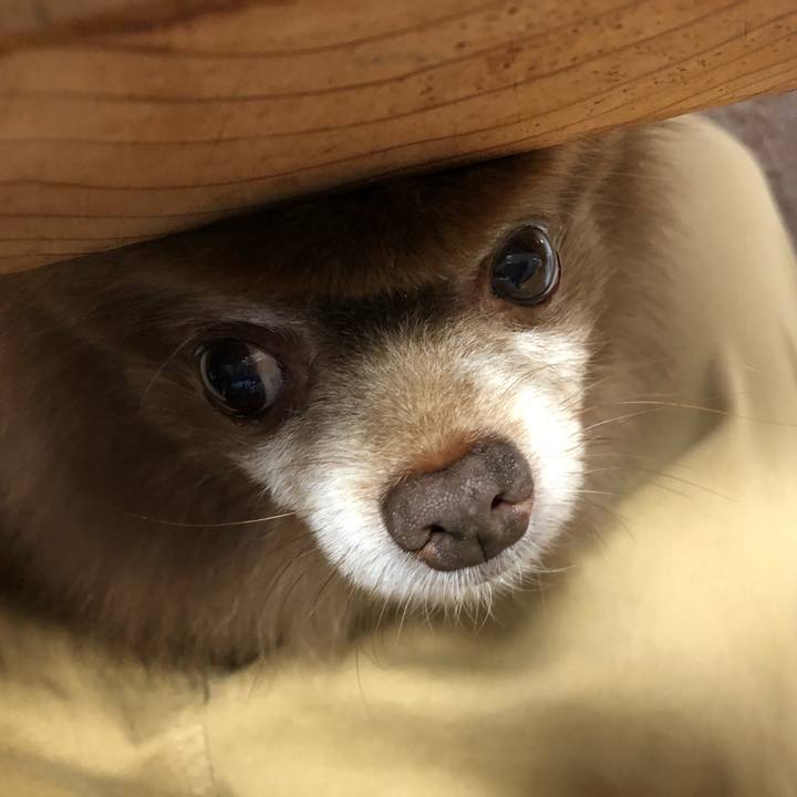 3401a921 57eb 4be5 aac6 844bb6533046 1634970450453