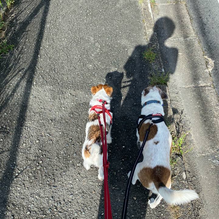 3401b649 57c0 4fe5 8ec4 880d00d9db2b 1626564567320