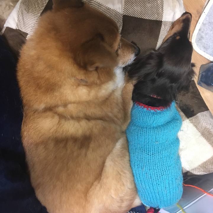 3401bbcc e2d6 4909 949c b3e1ff7bc042 1516182701059