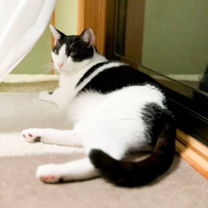 3401c095 6120 4444 9aa0 f2aa9abba22c 1538967101204