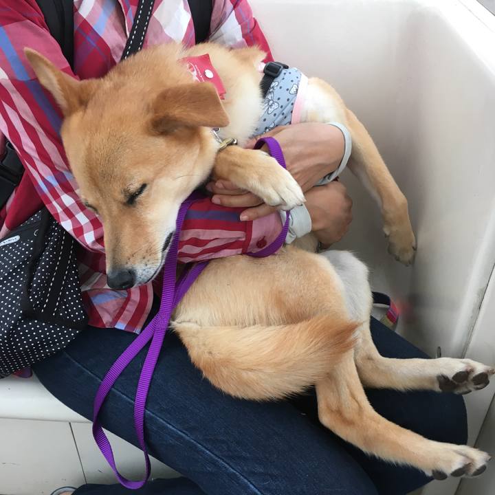 3401ccf3 c7bc 48d9 b33a 79fa625ea4b7 1529140385157