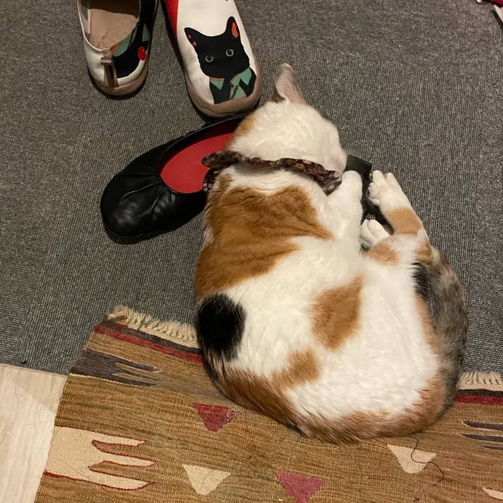 3401ec41 1072 45cd 90bc 3febb792805c 1748164463912