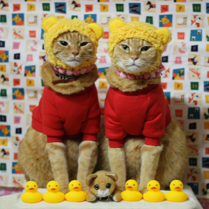 3401ee24 a4ee 466c ae5d e7450cb0447f 1516803018454