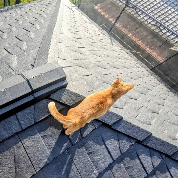 34021053 3574 4678 bb16 7b9e658f1ce1 1773759147985