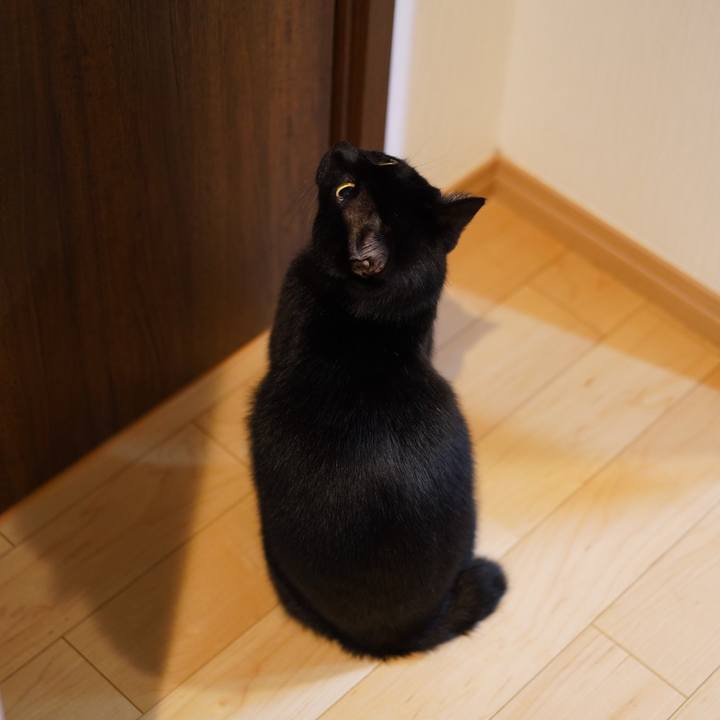 34028563 a0d3 4940 818c a5cf0fd4d074 1574898832182