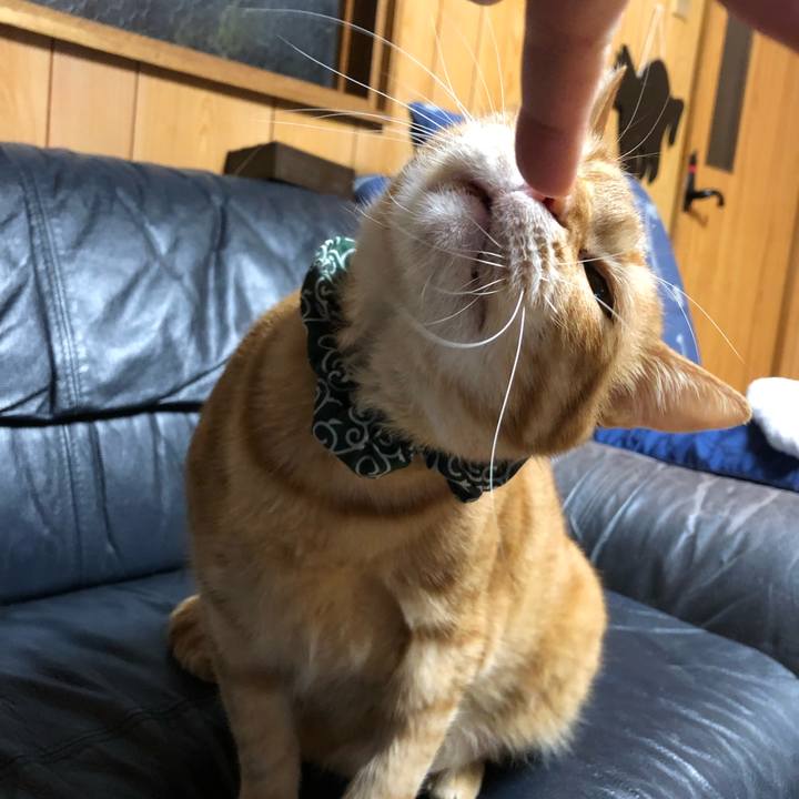 3402a4d1 53c9 4857 a711 f727ddd0450c 1579610379366