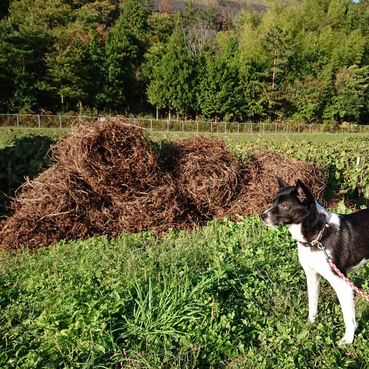 3402d0cf 9a26 47d9 bd5d 16c90c621440 1572703584639