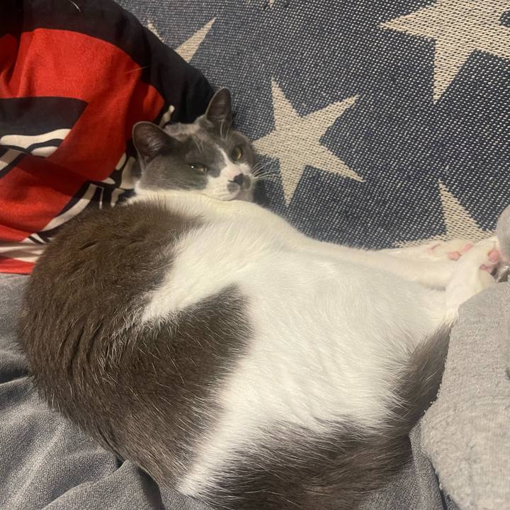 3402d4ea c952 44bd a96e 73122581fabc 1647265450752