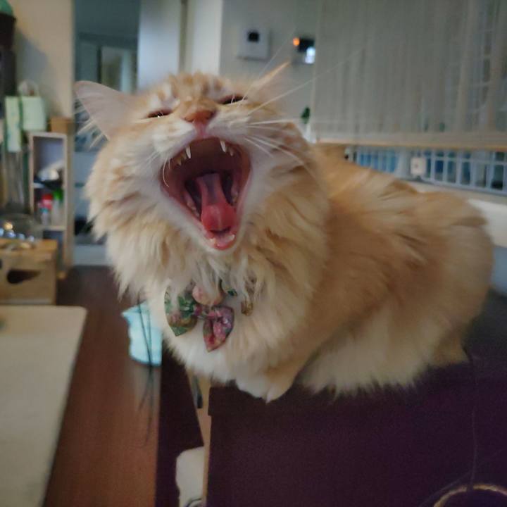 34030e15 0e4e 4afb 893a bd7bda9a23ee 1660724204041