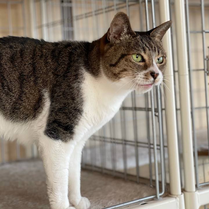 34031c2d 9ccc 4611 a08b 22359533a160 1604972586529