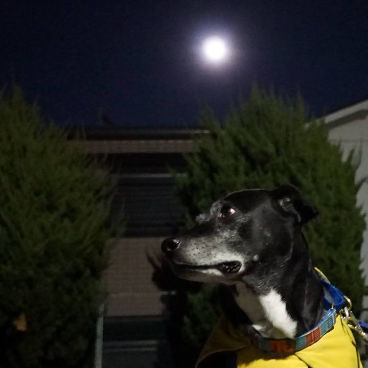 34037332 e74f 459f 872d 6ad221a9c50f 1767449618526