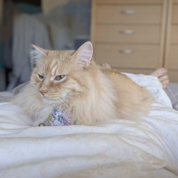 34037407 d980 46a5 90ab c9ec8578f9e3 1750554107719