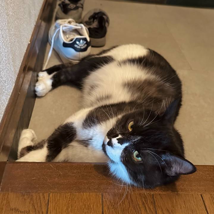 3403ca13 704b 44e2 a3fa 0ff000c3afd1 1753507401547