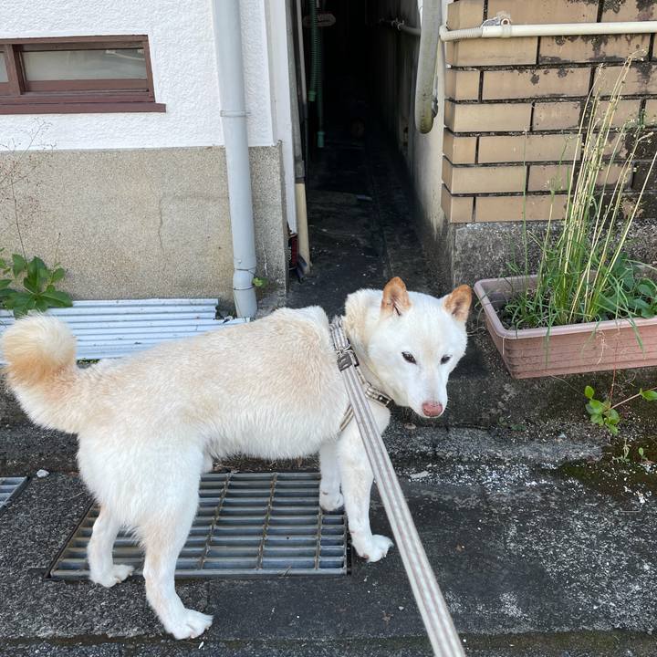 3403d668 18f7 4b16 ab10 30e952219f3e 1635400106623