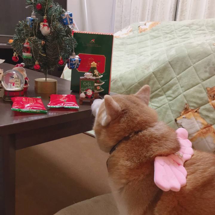 3403dd4f 7426 4ccc 9733 3521bec1e7f8 1545667691431