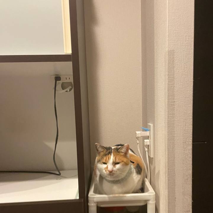 3403e47d e173 4a6c acaa 11d2514284d5 1668330305158