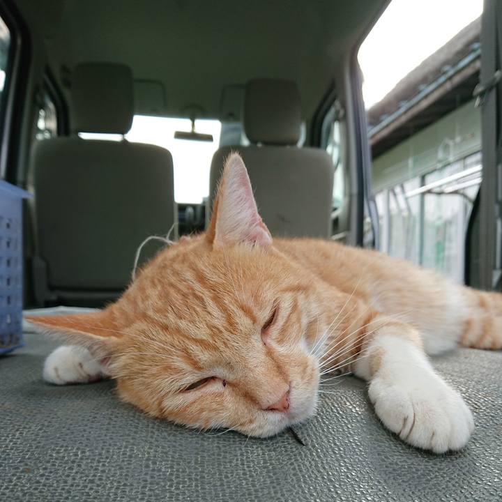 34045e6f 6ceb 4ee7 8f89 4d84ab2501dc 1564563139152