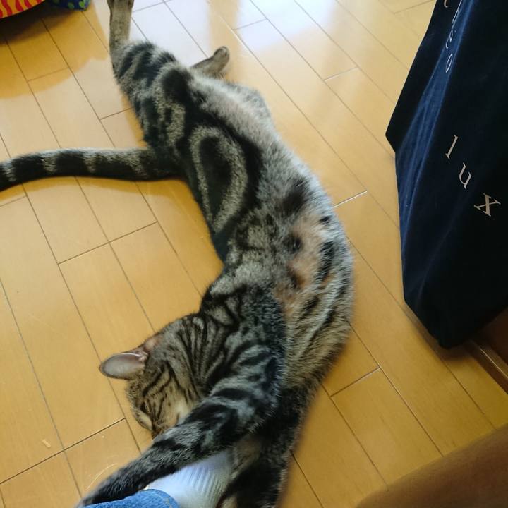 340468e8 3778 4a98 83e7 2bed2cb4a214 1573866785918