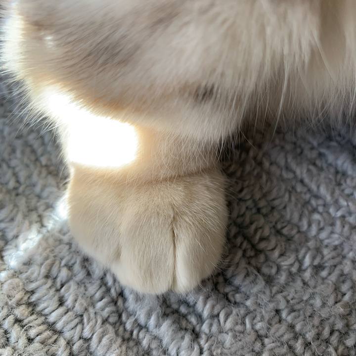 3404a721 775a 4396 9ce2 e891e5078b69 1709425614442