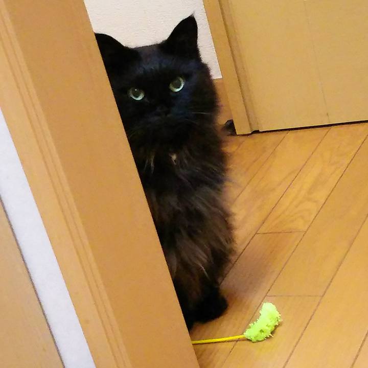 3404d726 784f 4b92 9083 631eb6ba9eb5 1519295986221