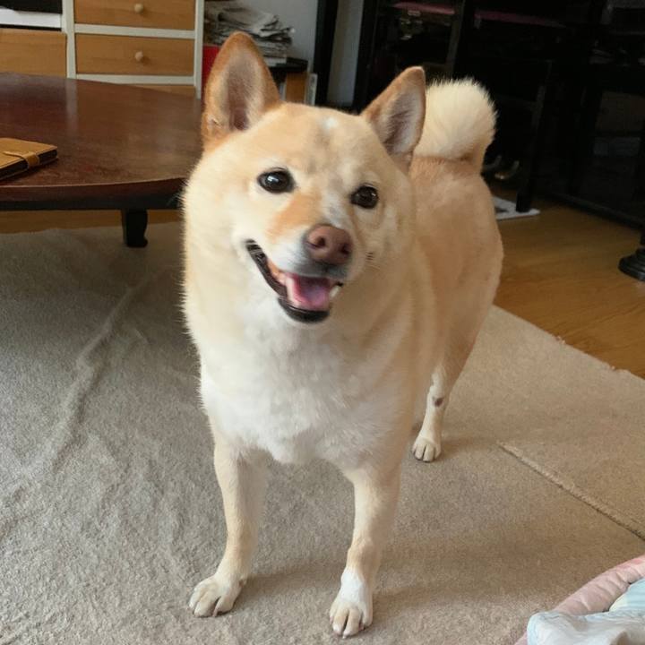 340509dd 9bee 47bf af1b 2f3a77c89f7b 1626687037666