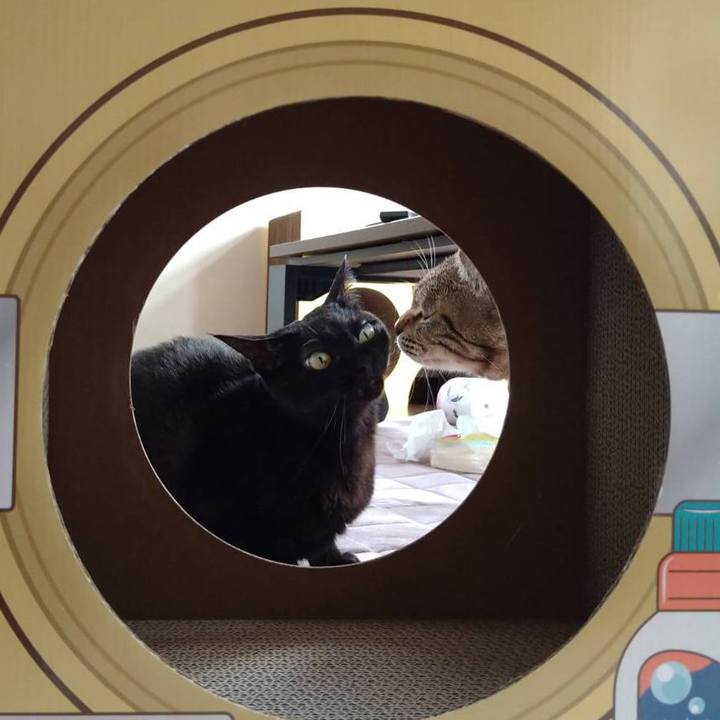 34052ec8 2abf 4145 b481 140b569f8a04 1741522538493