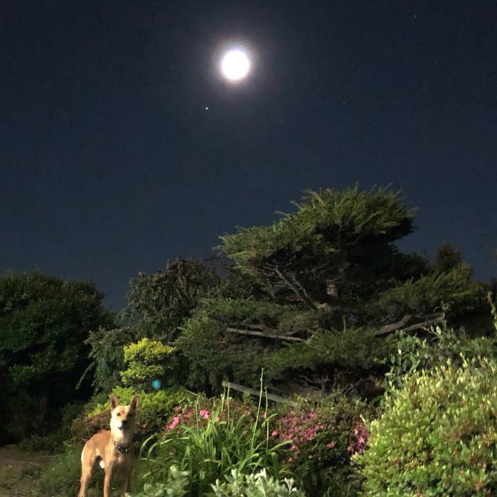 34056151 4cda 4f4f 981d 3b452a40717a 1560686897346