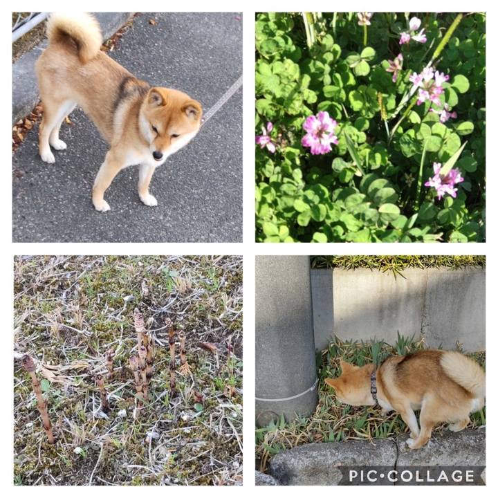 34057f28 ba06 4688 8d41 81a4e6dc115a 1647416703354