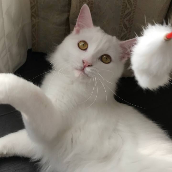 3405b2e9 faa8 4b26 afbe b44f98b9be46 1522815049891