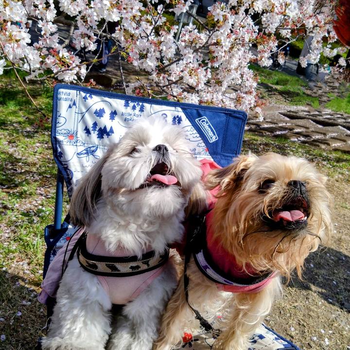 3405ccb1 9570 48ac b0f7 20fe6726f220 1680353617222