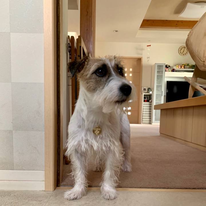 3405e039 28dd 4466 8a41 8d3b3eea01ef 1626824501015