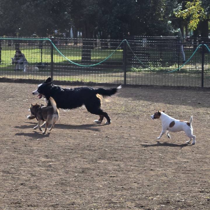 3405ef48 f6f3 4ac6 bd46 7d7b673e9318 1763294068179