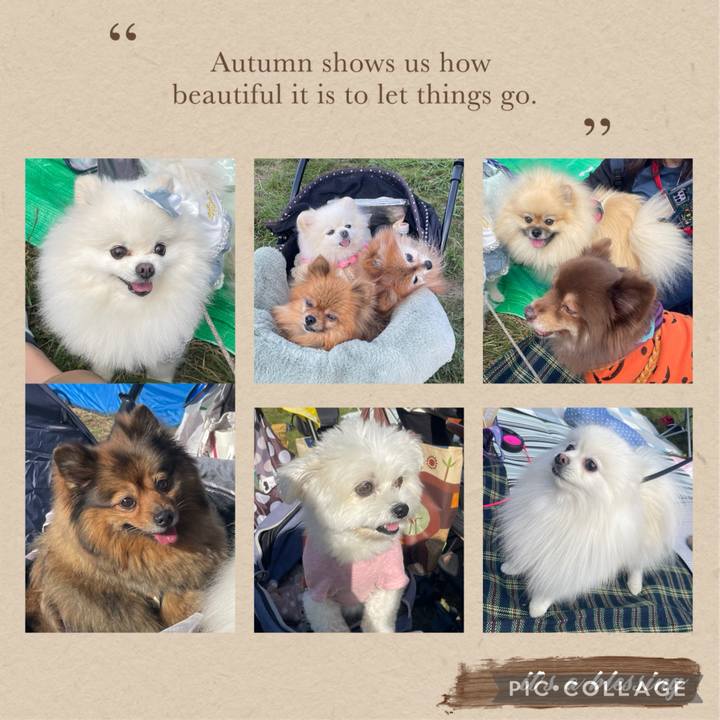 34061e40 cdc4 441e 828d 0938db5f3c4f 1729432436146