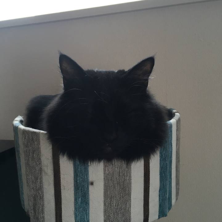 34061ff5 4203 434a bbed 360f00e769c5 1520909328861