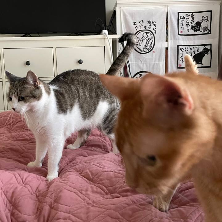 34063d8b 893f 4851 a37e 16ed9bda828a 1696297875475