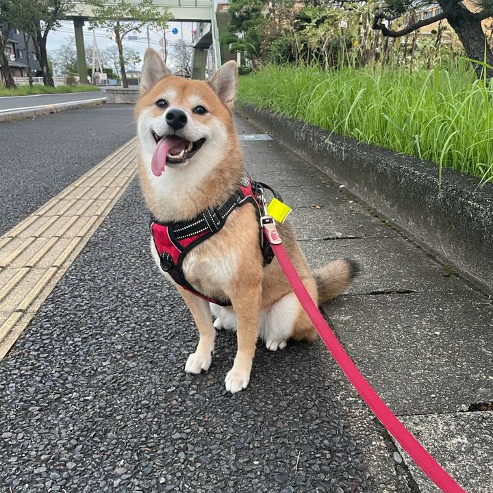 34066a39 90b5 4610 a2a3 1bb930cdf356 1730899326285