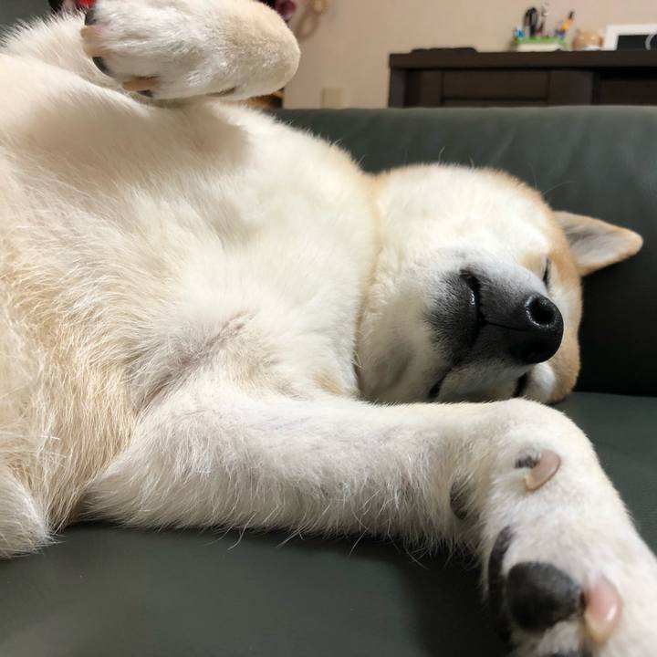 3406c716 0d3d 411d 8496 0a378f5dd2da 1587715273016