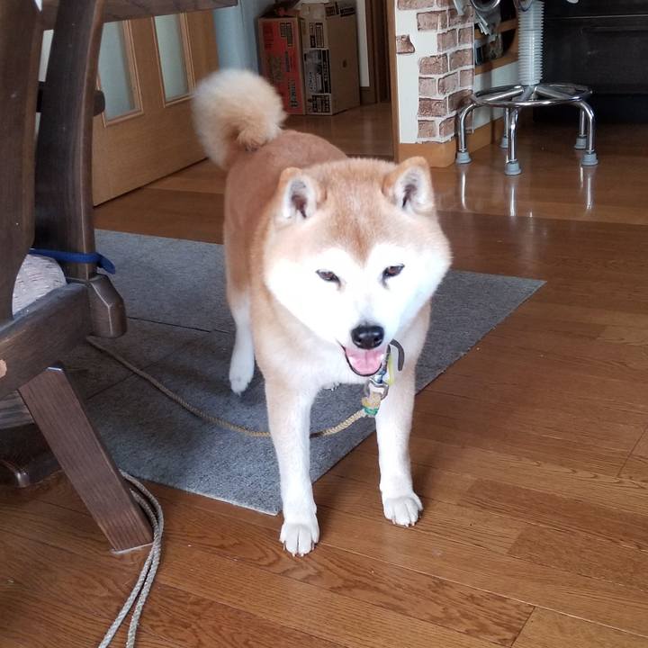 3406d07d f960 4f7a 9097 ae39ca13468a 1650866418838