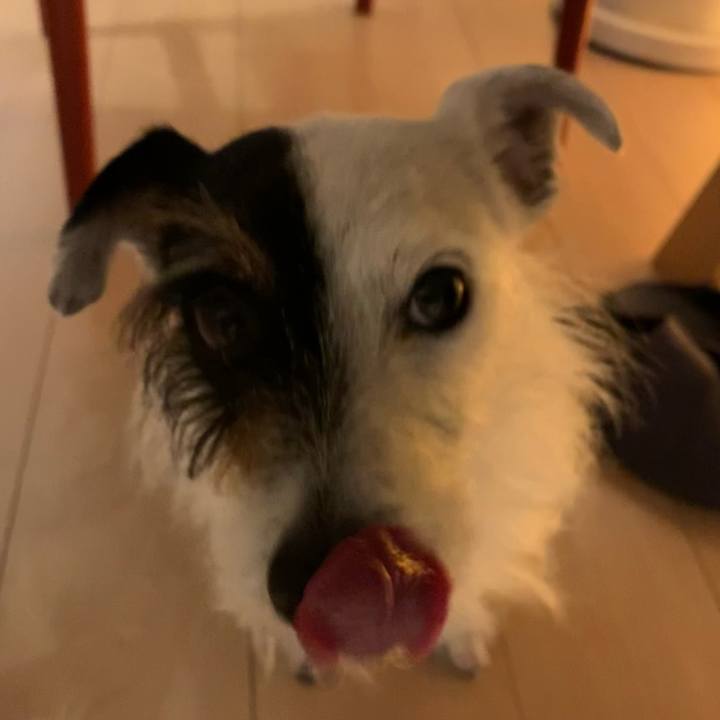 3406f672 ecfa 46c1 aa63 1b3ff86b3385 1615197660102