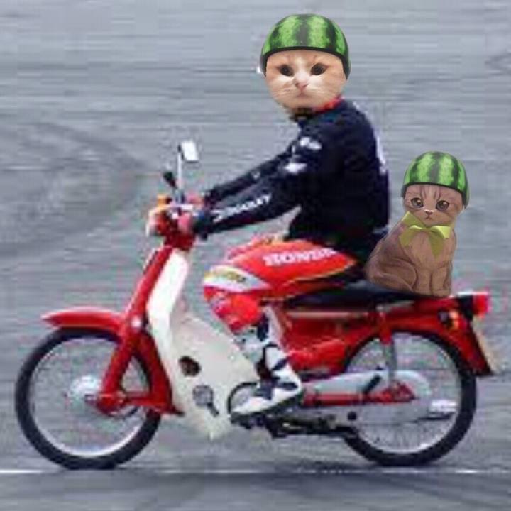 34071934 f15f 409b b42d a781a785ed86 1563188590505