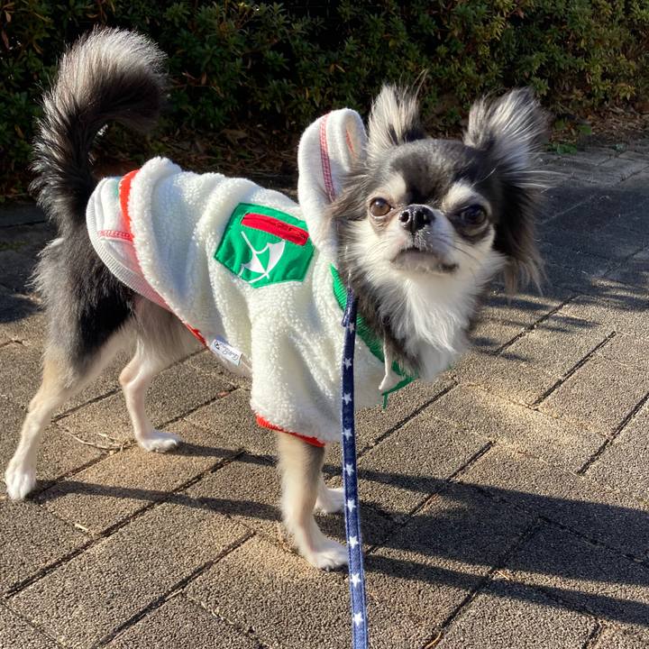 34075568 8be9 4f75 935d 0422dd497f10 1641616290688