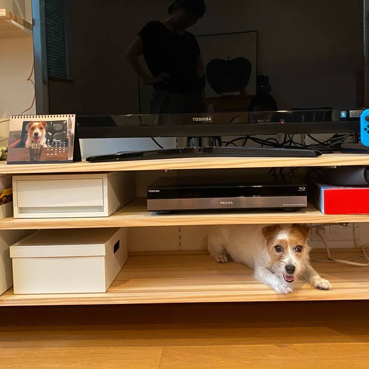 340759ec 2ee2 42c4 894b f4c56085ecf8 1601476967326