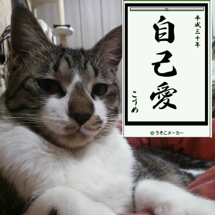 34076711 5fc2 48c9 bfff a09e317d4afd 1514977754717