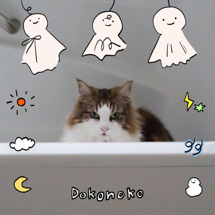 3407dffc 2f49 4c59 8ca3 0b9f7642d314 1749095313943