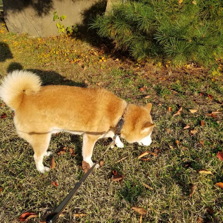 34084d5e a183 4537 b446 f335288f3a3e 1699165131289