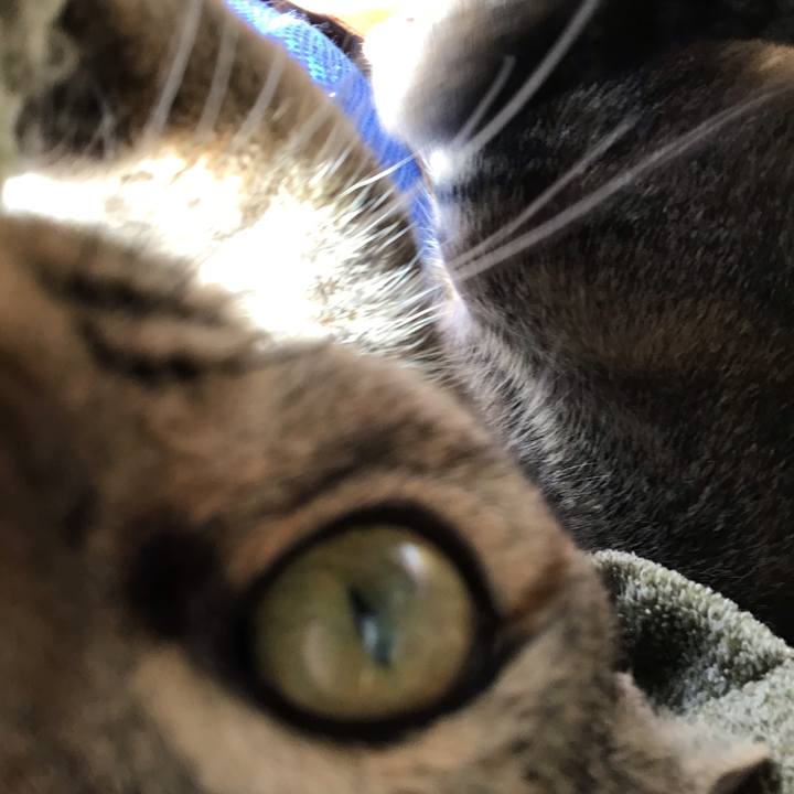 3408819c ee28 4ea6 bf12 d6c943363b74 1598748466677